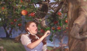 trees-wizardofoz-590x3501